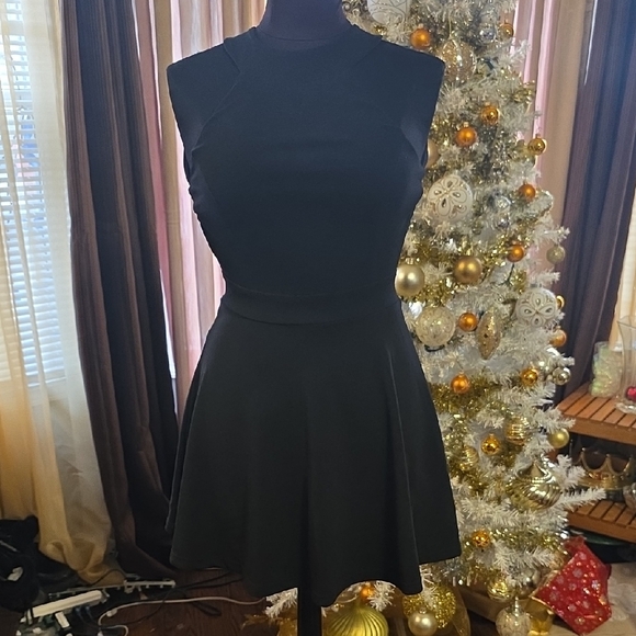 Lulus Dresses & Skirts - Elegant Black Mini Dress